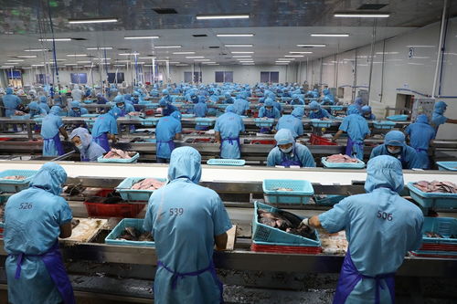 火熱的預制菜市場 內藏海南農業高質量發展的致富密碼