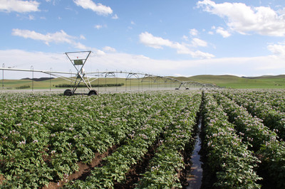 內(nèi)蒙古農(nóng)作物良種覆蓋率達(dá)98%以上，現(xiàn)代農(nóng)業(yè)發(fā)展邁上新臺(tái)階