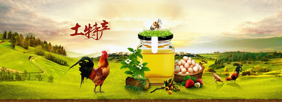 綠色沃土育鮮果 土特產農產品中的綠色食品種植之道